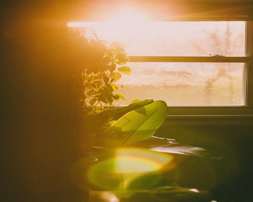 Sunlight streaming through a window onto a desk with a plant